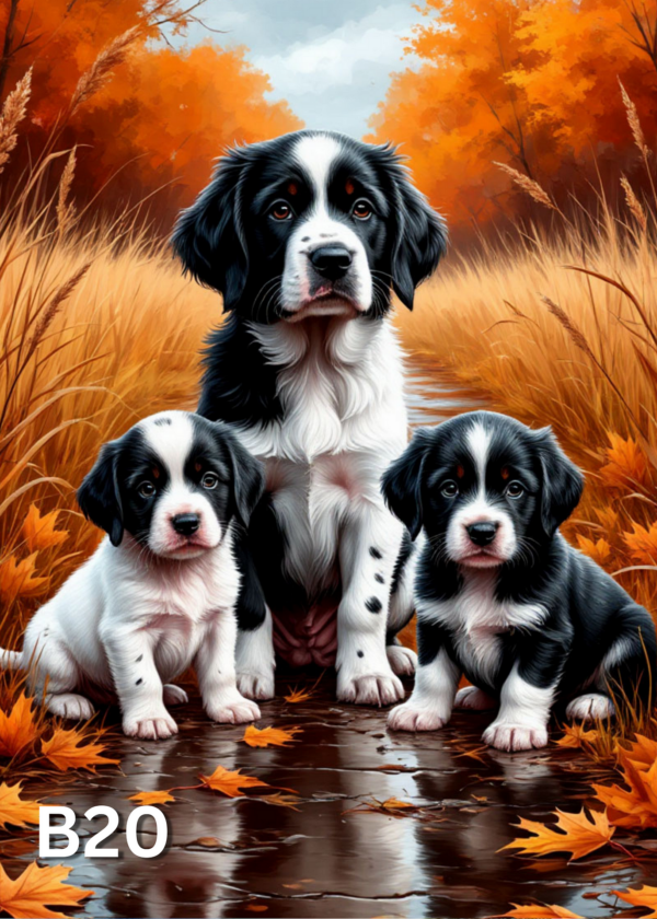 Диамантен Гоблен B20 - 30x40cm