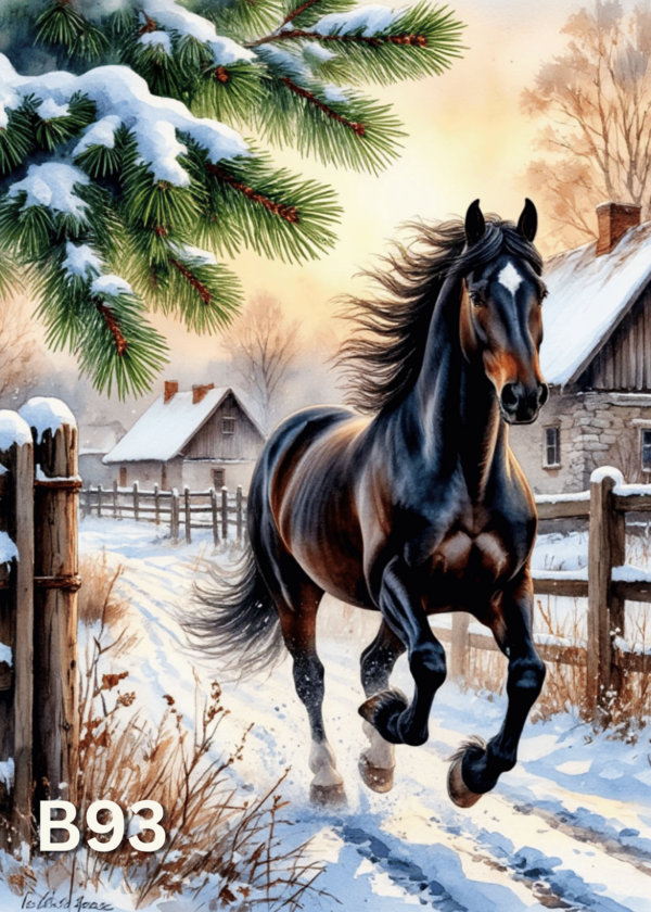 Диамантен Гоблен B93 - 30x40cm